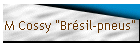 M Cossy "Brsil-pneus"