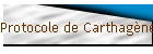 Protocole de Carthagène